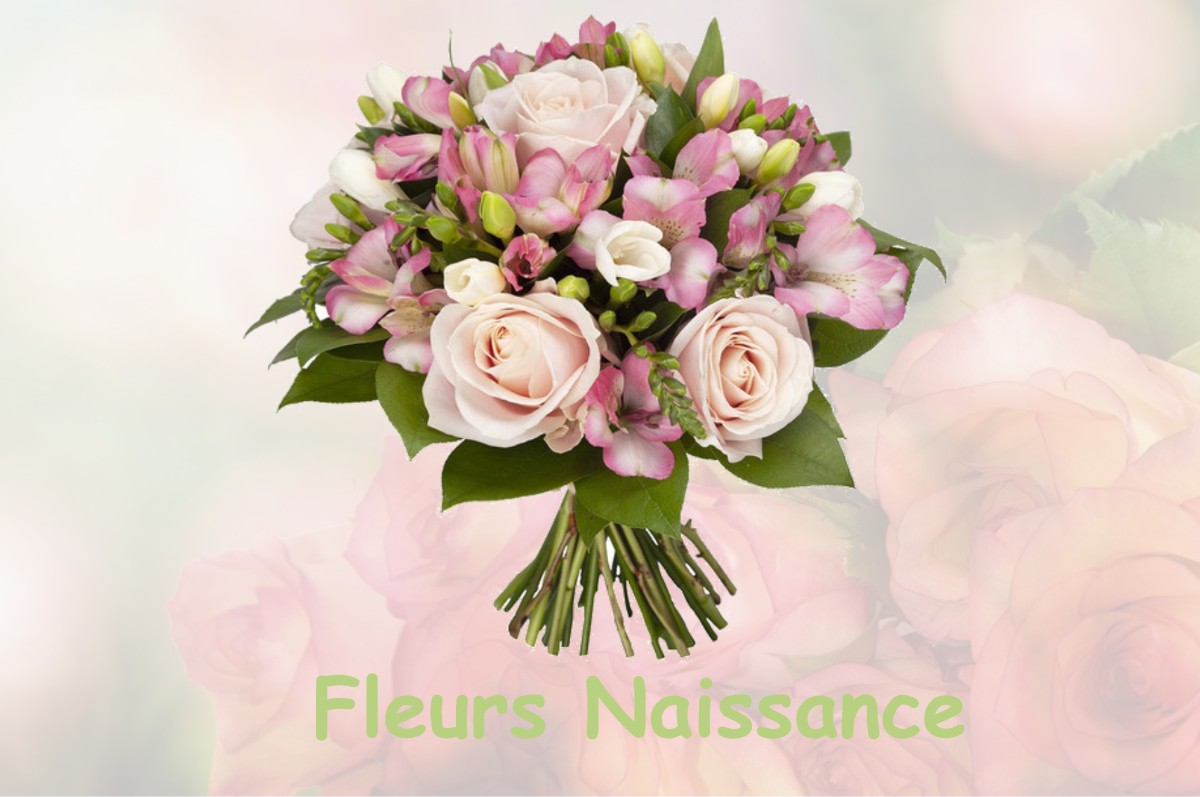 fleurs naissance LA-BOLLENE-VESUBIE