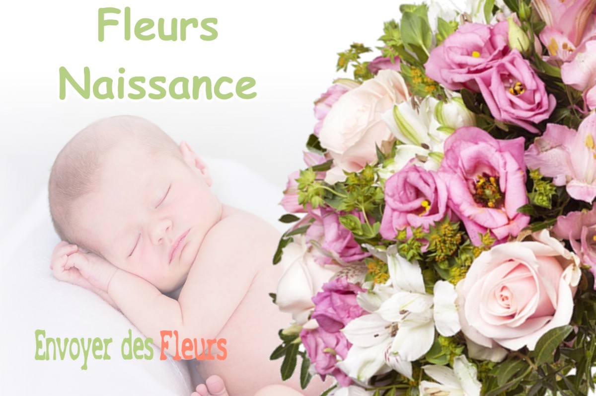 lIVRAISON FLEURS NAISSANCE à LA-BOLLENE-VESUBIE